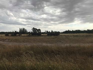 200 jorge newbery, Bahía Blanca, Buenos Aires, 8000, ,Terreno,Venta,jorge newbery,1293