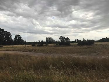 200 jorge newbery, Bahía Blanca, Buenos Aires, 8000, ,Terreno,Venta,jorge newbery,1293