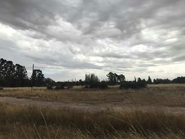 200 jorge newbery, Bahía Blanca, Buenos Aires, 8000, ,Terreno,Venta,jorge newbery,1293