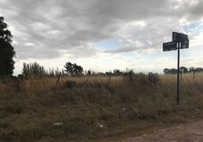 200 jorge newbery, Bahía Blanca, Buenos Aires, 8000, ,Terreno,Venta,jorge newbery,1293