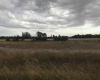 200 jorge newbery, Bahía Blanca, Buenos Aires, 8000, ,Terreno,Venta,jorge newbery,1293