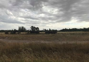 200 jorge newbery, Bahía Blanca, Buenos Aires, 8000, ,Terreno,Venta,jorge newbery,1293