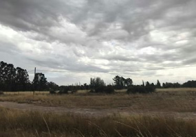 200 jorge newbery, Bahía Blanca, Buenos Aires, 8000, ,Terreno,Venta,jorge newbery,1293