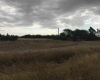 200 jorge newbery, Bahía Blanca, Buenos Aires, 8000, ,Terreno,Venta,jorge newbery,1293