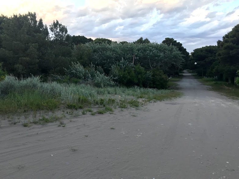 Av. Avelino Gonzalez Martinez esquina Bouchard, pehuen co, pehuen co, Buenos Aires, 8109, ,Terreno,Venta,Av. Avelino Gonzalez Martinez esquina Bouchard,1295