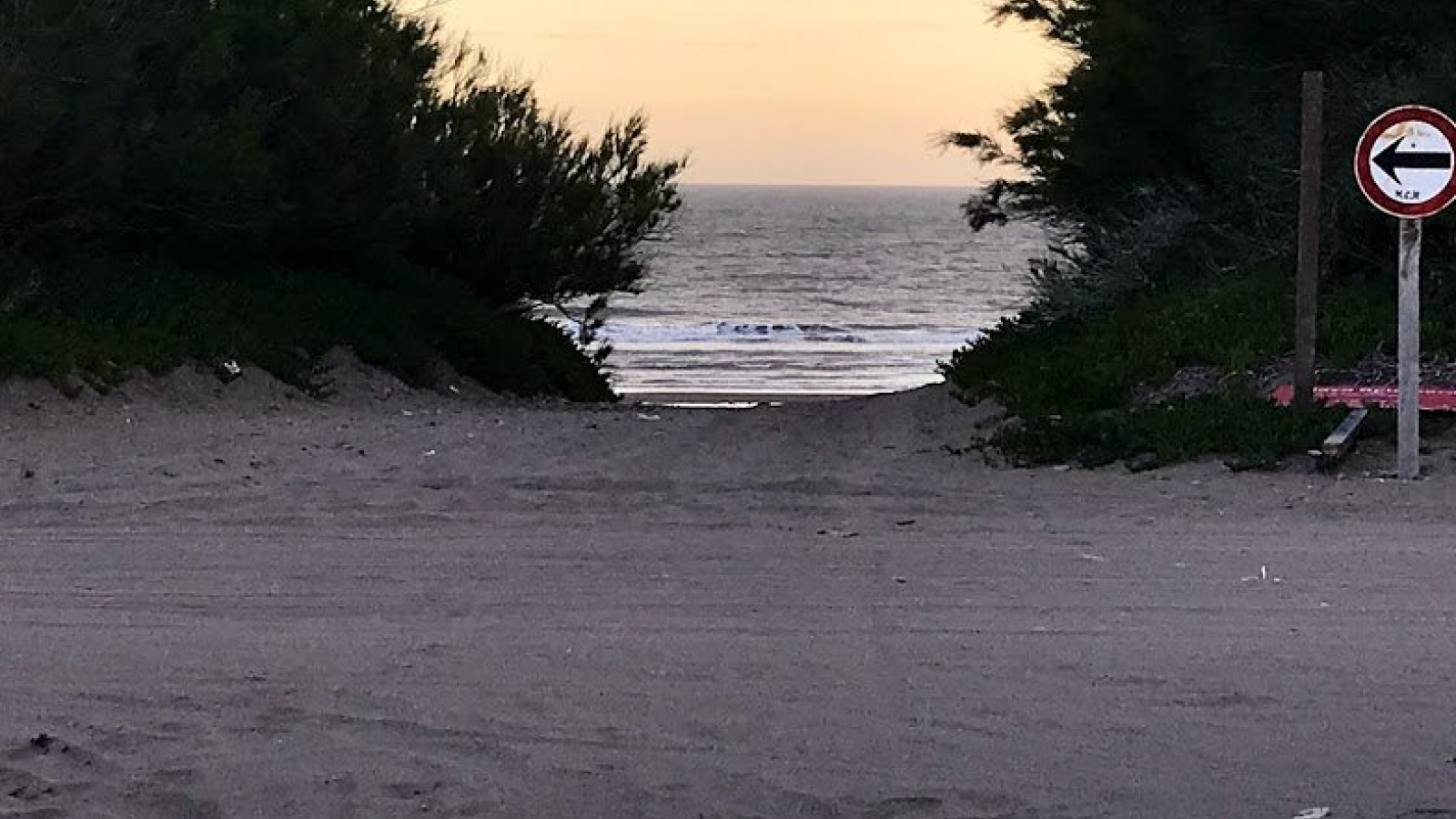 Av. Avelino Gonzalez Martinez esquina Bouchard, pehuen co, pehuen co, Buenos Aires, 8109, ,Terreno,Venta,Av. Avelino Gonzalez Martinez esquina Bouchard,1295