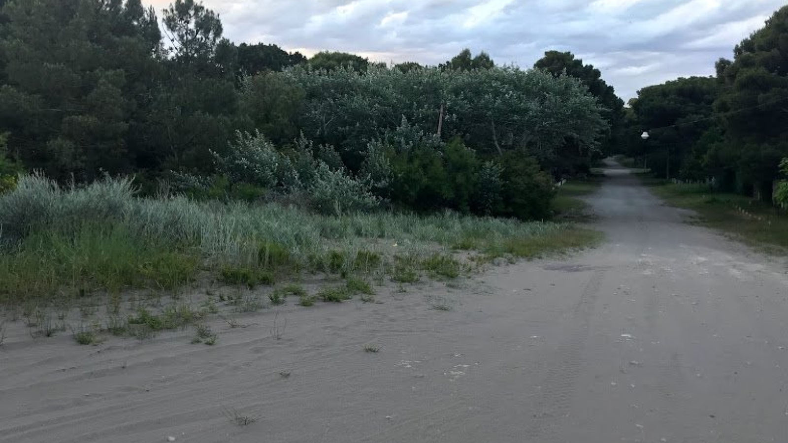 Av. Avelino Gonzalez Martinez esquina Bouchard, pehuen co, pehuen co, Buenos Aires, 8109, ,Terreno,Venta,Av. Avelino Gonzalez Martinez esquina Bouchard,1295