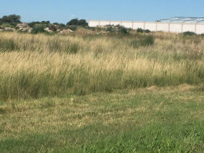 Tomás Guido & Daniel de Solier, Bahía Blanca, Buenos Aires, 8000, ,Terreno,Venta,Tomás Guido & Daniel de Solier,1305