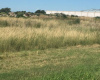 Tomás Guido & Daniel de Solier, Bahía Blanca, Buenos Aires, 8000, ,Terreno,Venta,Tomás Guido & Daniel de Solier,1305