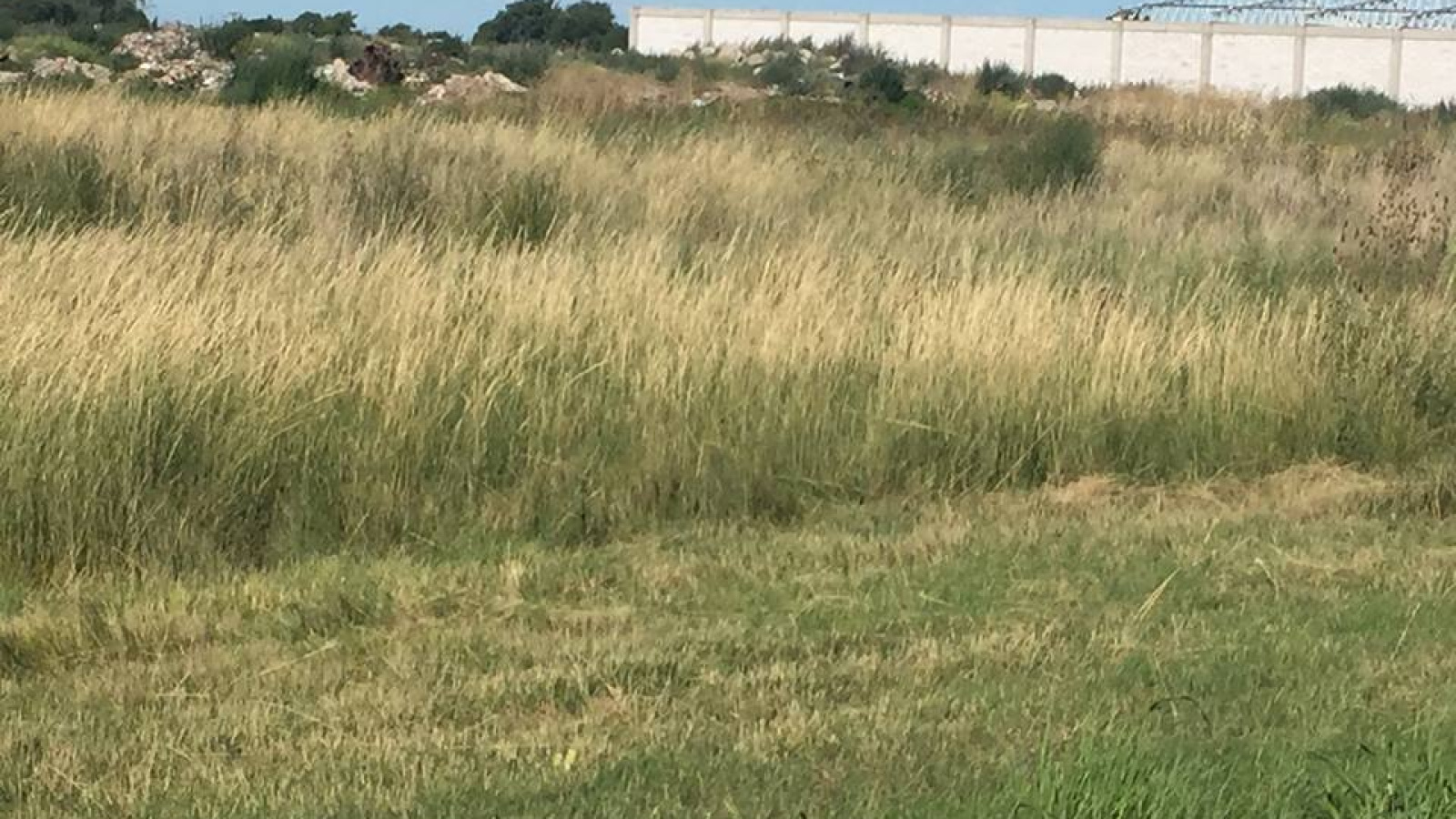 Tomás Guido & Daniel de Solier, Bahía Blanca, Buenos Aires, 8000, ,Terreno,Venta,Tomás Guido & Daniel de Solier,1305