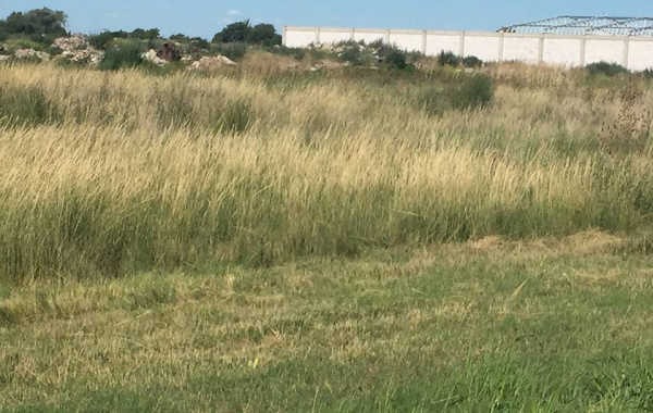 Tomás Guido & Daniel de Solier, Bahía Blanca, Buenos Aires, 8000, ,Terreno,Venta,Tomás Guido & Daniel de Solier,1305 Tomás Guido & Daniel de Solier, Bahía Blanca, Buenos Aires, 8000, ,Terreno,Venta,Tomás Guido & Daniel de Solier,1305