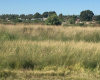 Tomás Guido & Daniel de Solier, Bahía Blanca, Buenos Aires, 8000, ,Terreno,Venta,Tomás Guido & Daniel de Solier,1305
