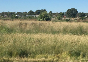 Tomás Guido & Daniel de Solier, Bahía Blanca, Buenos Aires, 8000, ,Terreno,Venta,Tomás Guido & Daniel de Solier,1305