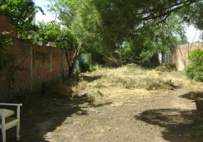 943 cipoletti, Bahía Blanca, Buenos Aires, 8000, ,Terreno,Venta,cipoletti,1308