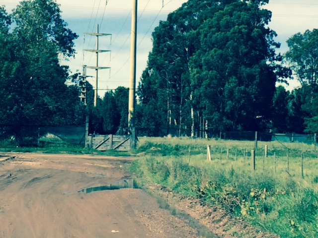4300 ramon y cajal, Bahía Blanca, Buenos Aires, 8000, ,Terreno,Venta,ramon y cajal,1311