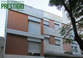 241 Dorrego, Bahía Blanca, Buenos Aires, 8000, ,1 BathroomBathrooms,Departamento,Venta,Dorrego ,1341