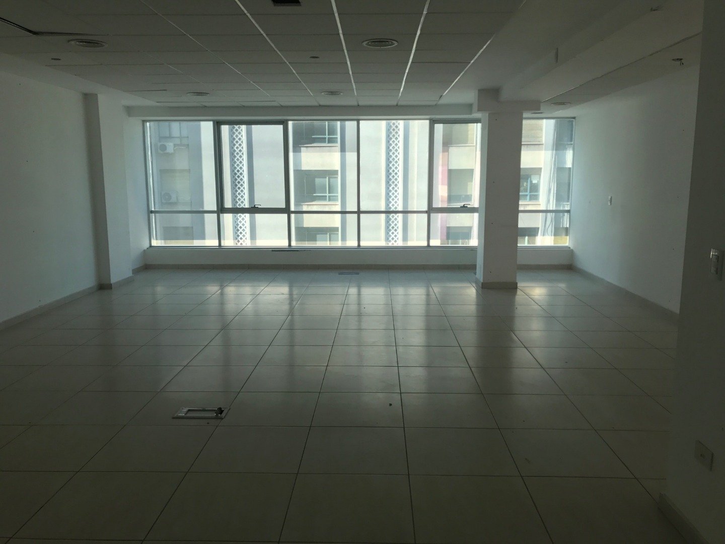 45 Drago, Bahía Blanca, Buenos Aires, 8000, ,Oficina,Venta,Drago ,1403