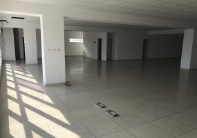 45 Drago, Bahía Blanca, Buenos Aires, 8000, ,Oficina,Venta,Drago ,1403