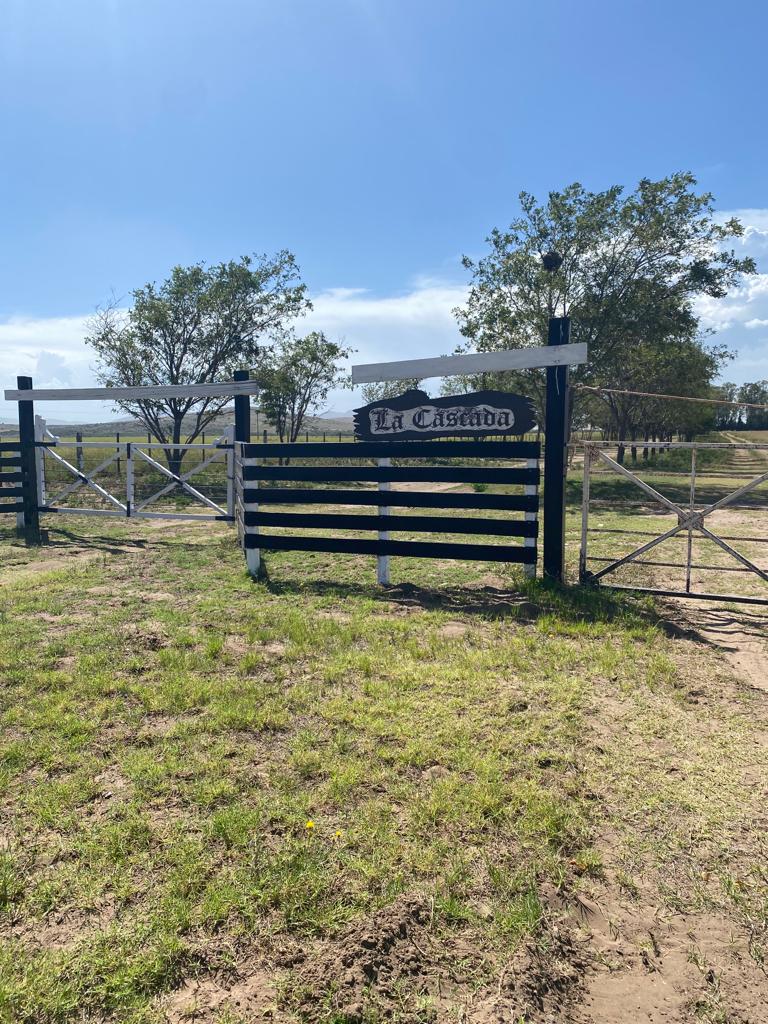 Tornquist, Buenos Aires, ,Campo,Venta,1454