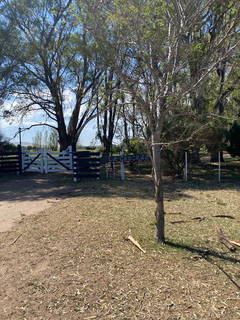 Tornquist, Buenos Aires, ,Campo,Venta,1454
