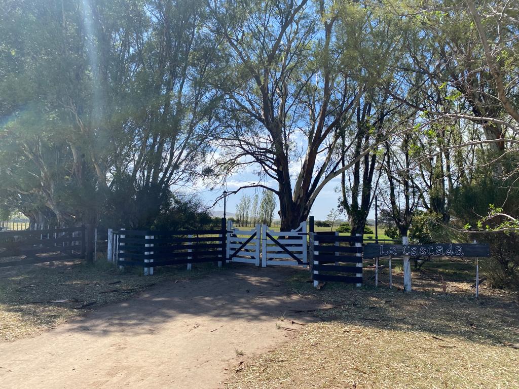 Tornquist, Buenos Aires, ,Campo,Venta,1454