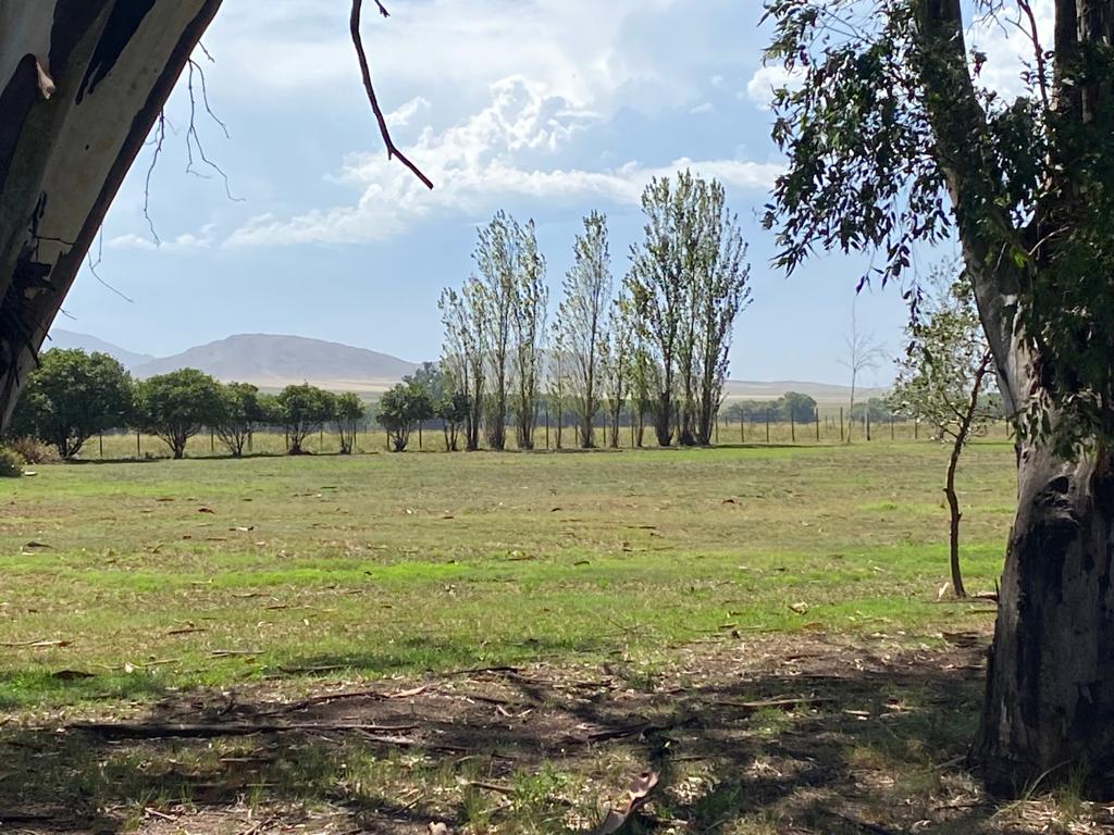 Tornquist, Buenos Aires, ,Campo,Venta,1454