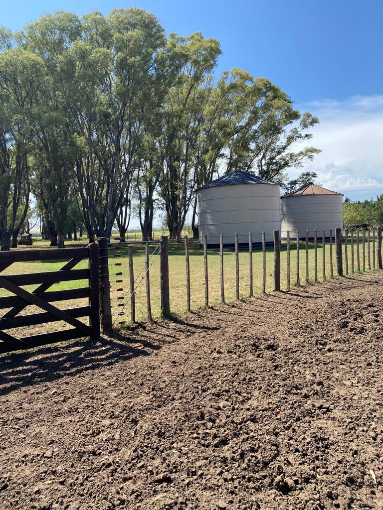 Tornquist, Buenos Aires, ,Campo,Venta,1454