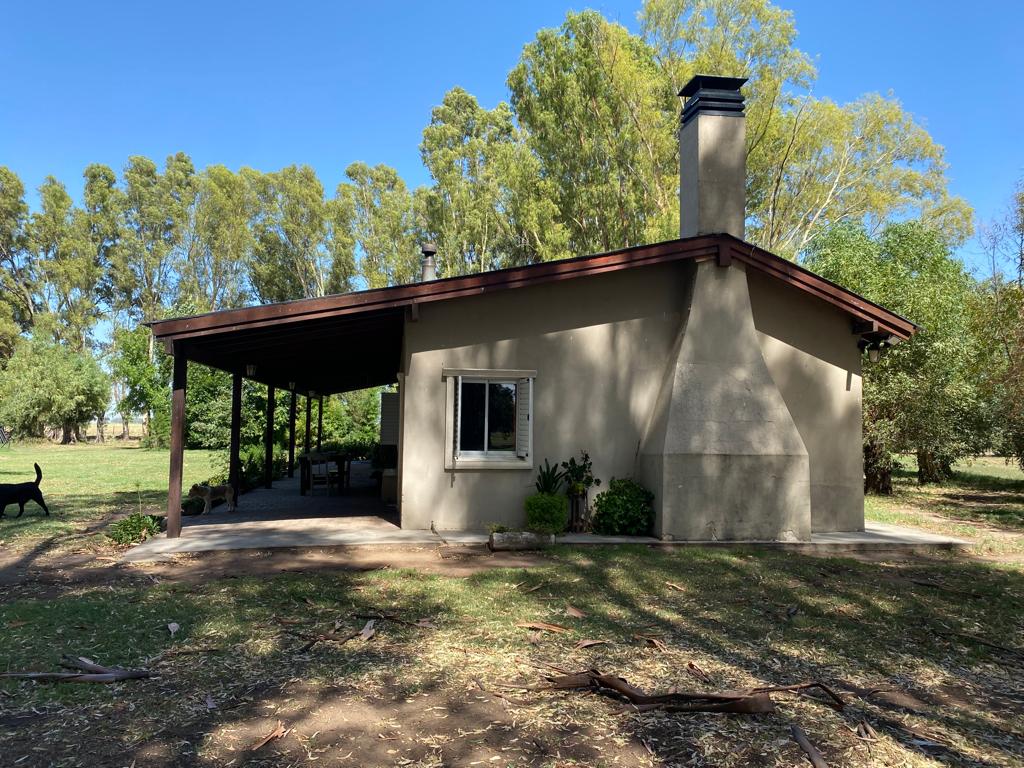 Tornquist, Buenos Aires, ,Campo,Venta,1454