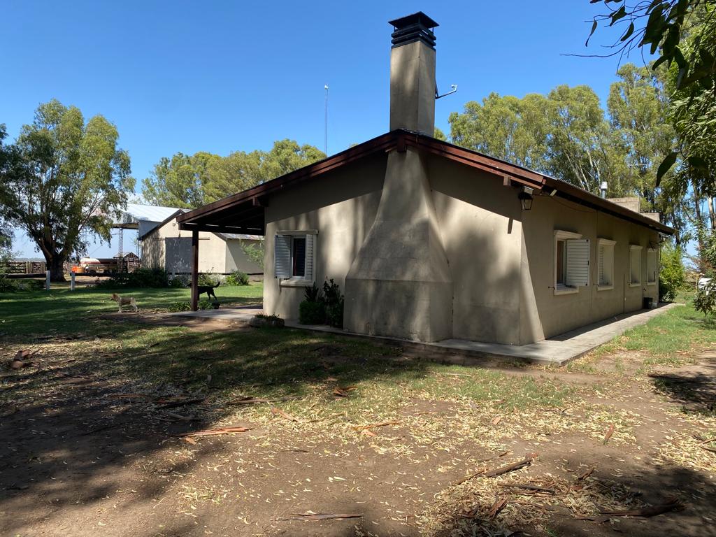 Tornquist, Buenos Aires, ,Campo,Venta,1454