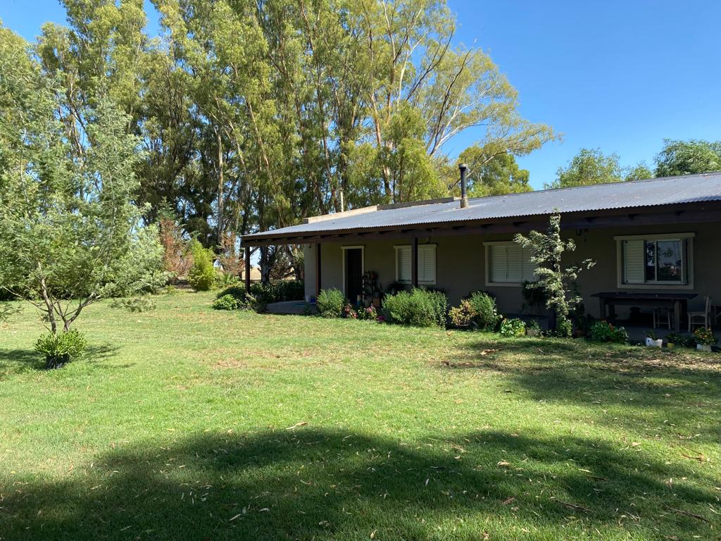 Tornquist, Buenos Aires, ,Campo,Venta,1454