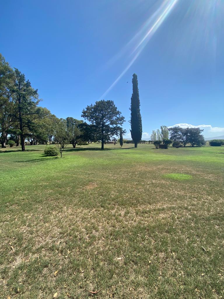 Tornquist, Buenos Aires, ,Campo,Venta,1454