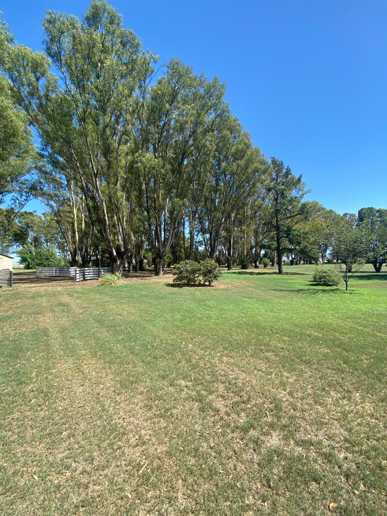 Tornquist, Buenos Aires, ,Campo,Venta,1454