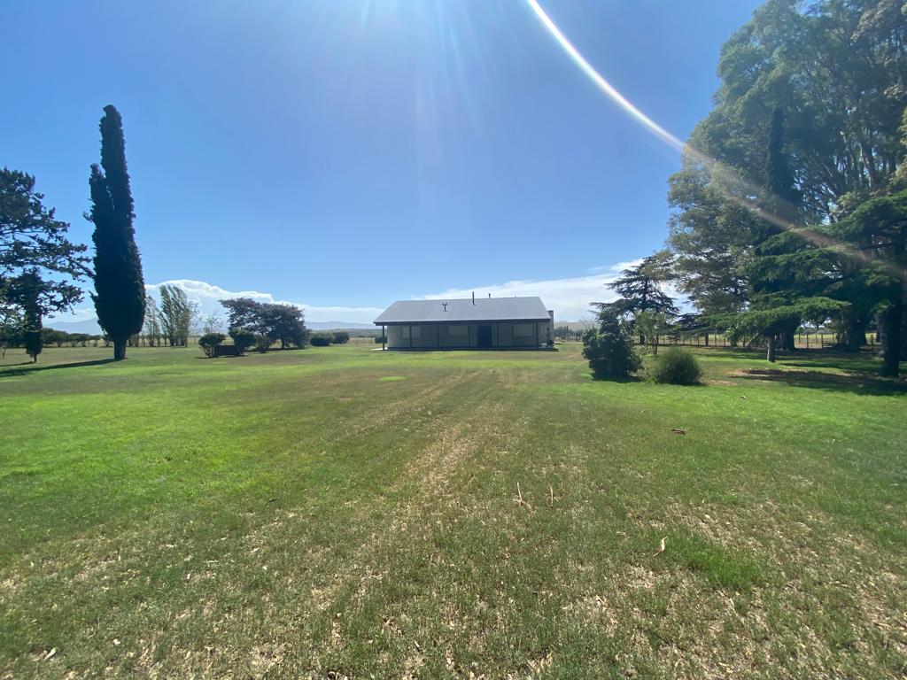Tornquist, Buenos Aires, ,Campo,Venta,1454