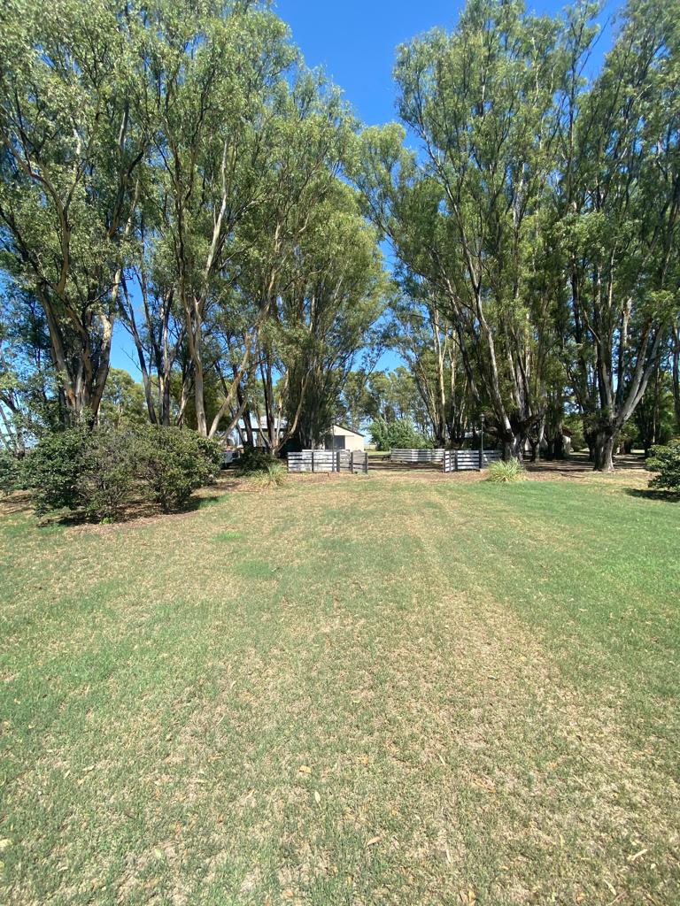 Tornquist, Buenos Aires, ,Campo,Venta,1454