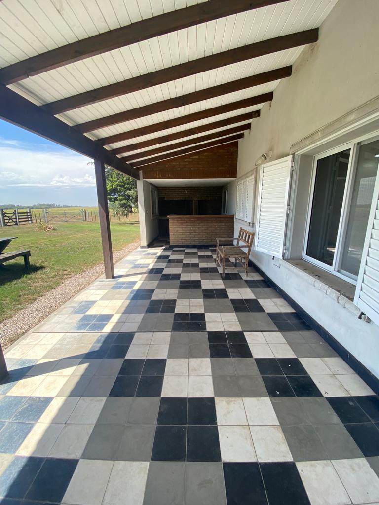 Tornquist, Buenos Aires, ,Campo,Venta,1454