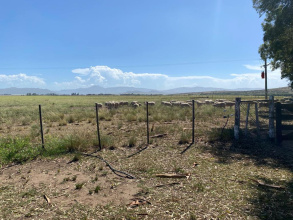 Tornquist, Buenos Aires, ,Campo,Venta,1454