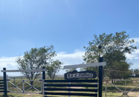 Tornquist, Buenos Aires, ,Campo,Venta,1454