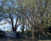 Tornquist, Buenos Aires, ,Campo,Venta,1454