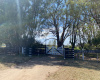 Tornquist, Buenos Aires, ,Campo,Venta,1454