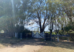 Tornquist, Buenos Aires, ,Campo,Venta,1454