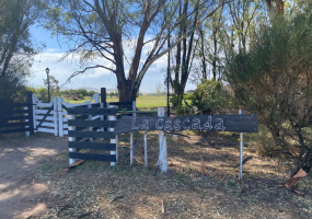 Tornquist, Buenos Aires, ,Campo,Venta,1454
