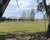 Tornquist, Buenos Aires, ,Campo,Venta,1454