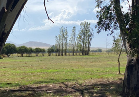 Tornquist, Buenos Aires, ,Campo,Venta,1454