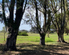Tornquist, Buenos Aires, ,Campo,Venta,1454