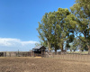 Tornquist, Buenos Aires, ,Campo,Venta,1454