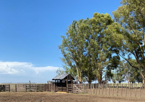 Tornquist, Buenos Aires, ,Campo,Venta,1454
