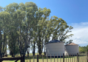 Tornquist, Buenos Aires, ,Campo,Venta,1454