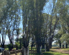 Tornquist, Buenos Aires, ,Campo,Venta,1454