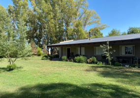 Tornquist, Buenos Aires, ,Campo,Venta,1454