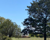 Tornquist, Buenos Aires, ,Campo,Venta,1454